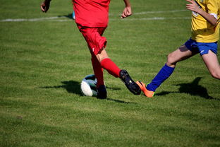 mk体育平台登录入口-中国足球年度训练项目与技战术实战匹配，中国足球队战术